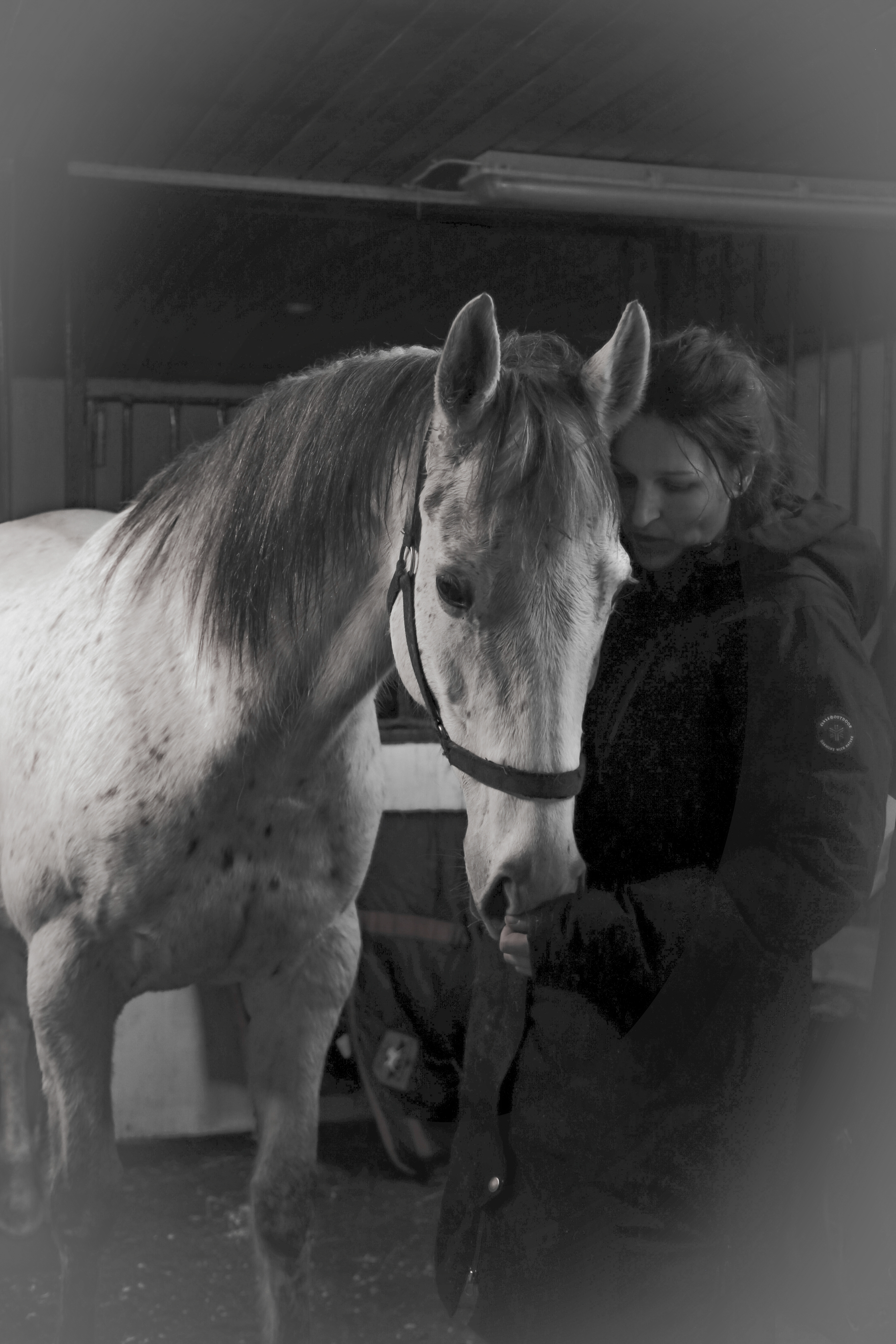 Jente og hest, sort-hvitt